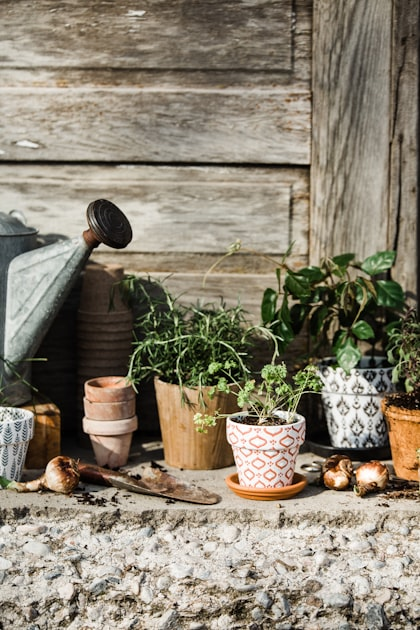 Understanding Soil Types for Gardening